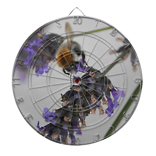 Natures Wonderful Workers Dartboard (Front)