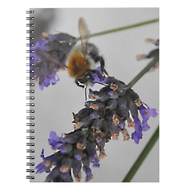 Natures Wonderful Workers Notebook (Front)