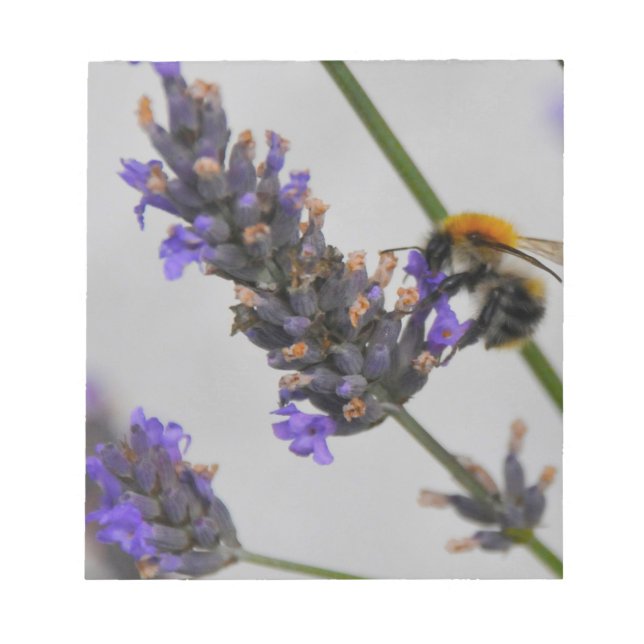 Natures Wonderful Workers Notepad (Front)