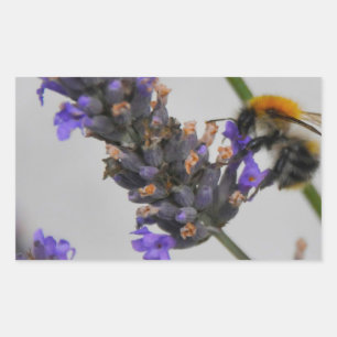 Natures Wonderful Workers Rectangular Sticker