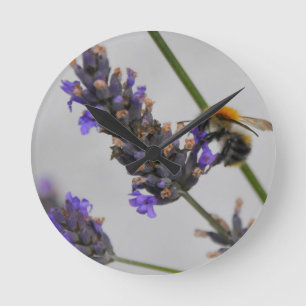 Natures Wonderful Workers Round Clock