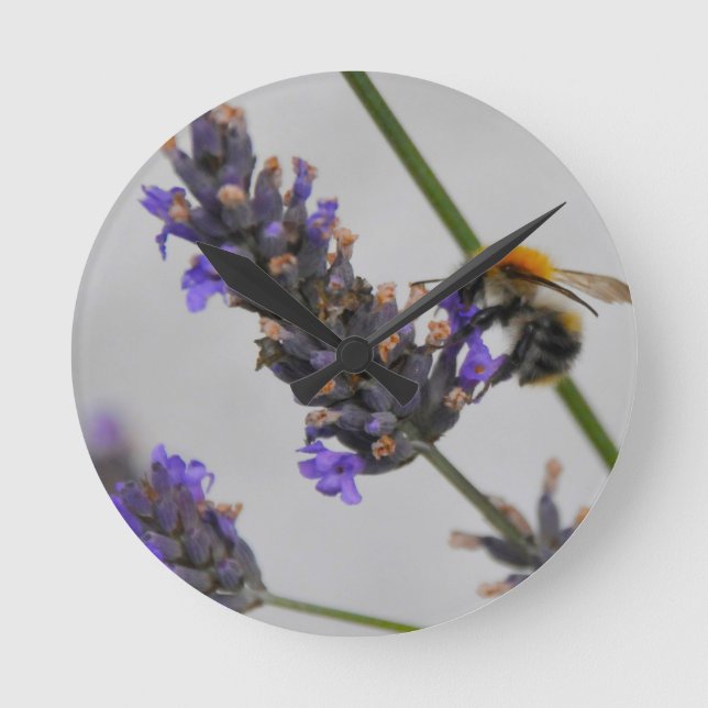 Natures Wonderful Workers Round Clock (Front)