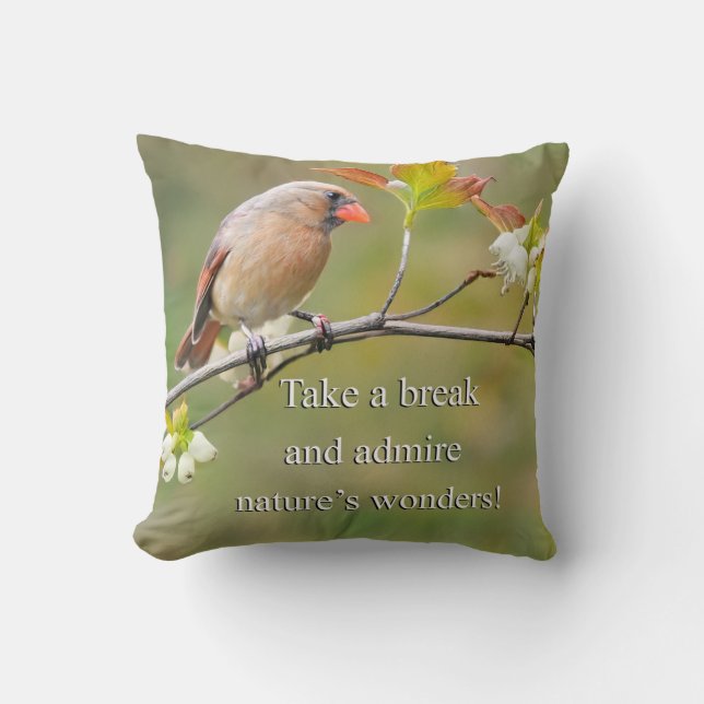 Nature's Wonders Cushion (Front)