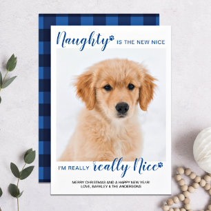 Naught Nice Funny Blue Buffalo Plaid Pet Photo Hol Holiday Card