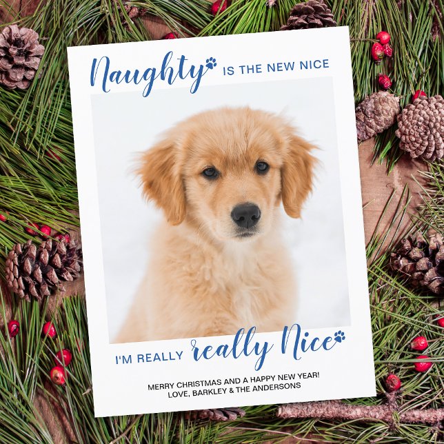 Naught Nice Funny Blue Buffalo Plaid Pet Photo Holiday Postcard (Creator Uploaded)