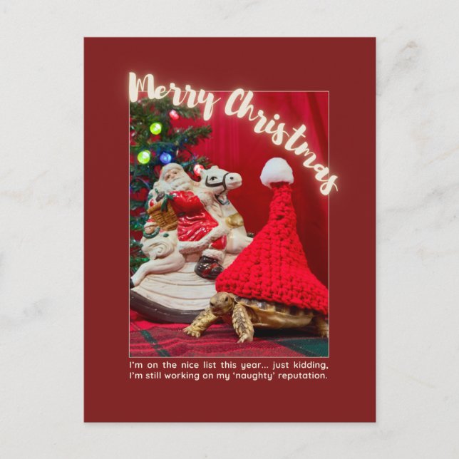 Naughty and Cute Christmas Baby Turtle with Santa Postcard (Front)