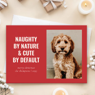 Naughty and Cute Funny Dog Christmas Photo Holiday Card