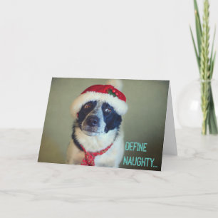 Naughty Border Collie Christmas card. Holiday Card
