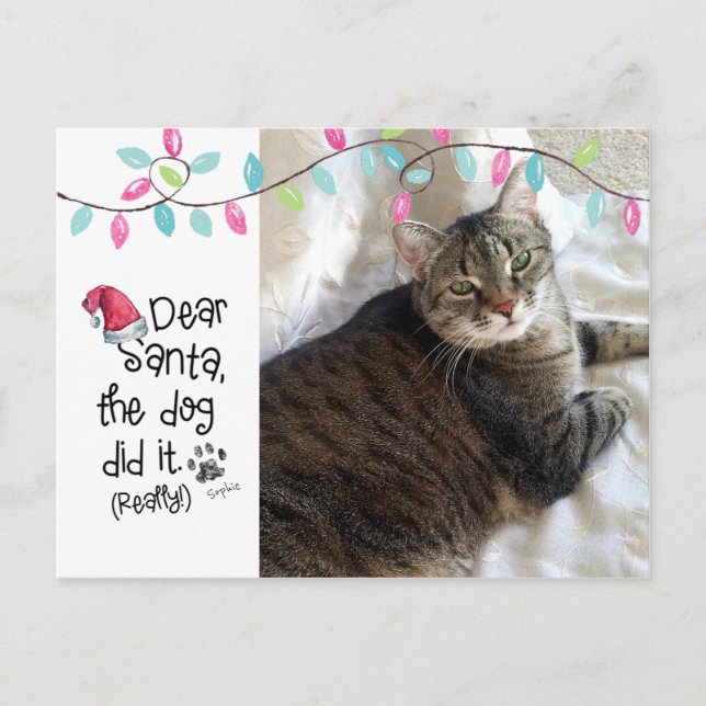 Naughty Cat Funny Dear Santa Letter Photo Cat Name Holiday Postcard (Front)