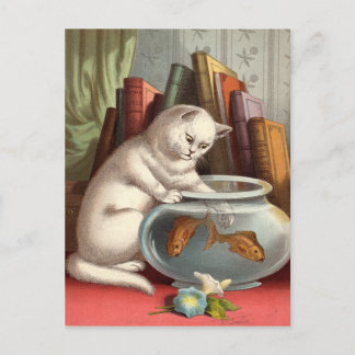 Naughty Cats postcards