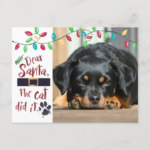 Naughty Dog Funny Dear Santa Letter   Photo Holiday Postcard