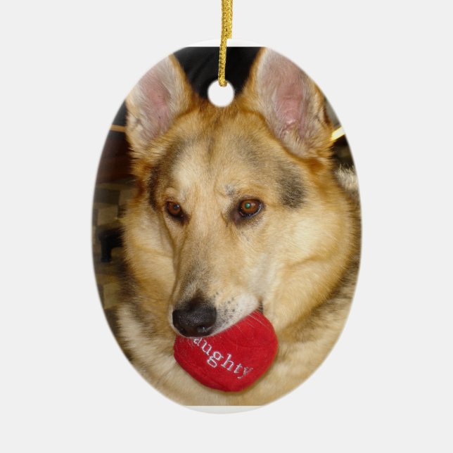Naughty Dog Ornament (Front)