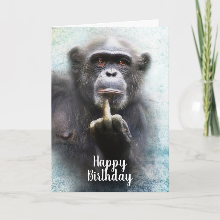 funny happy birthday monkey