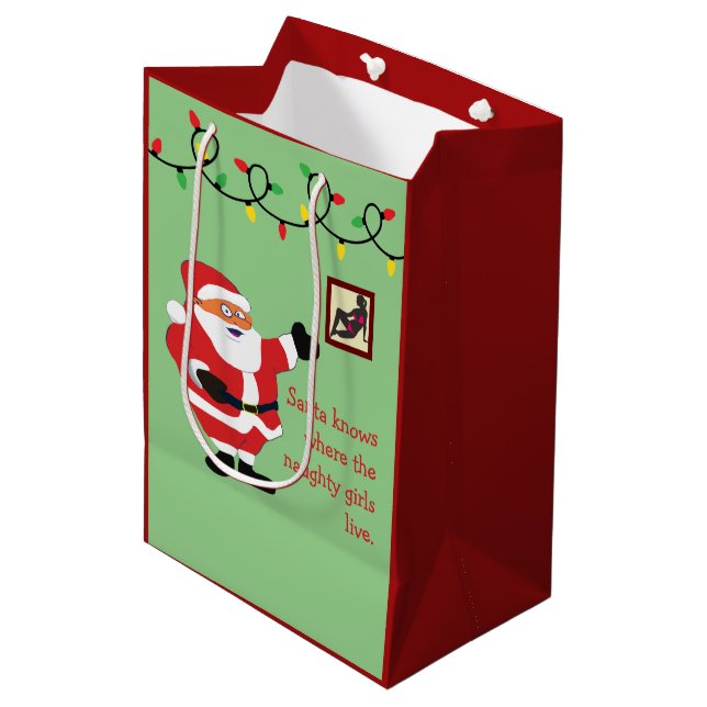 Naughty Girl Bad Santa Funny Joke Humour Fun Medium Gift Bag (Front Angled)