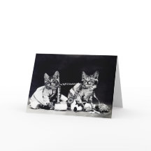 Naughty Kittens Note Card