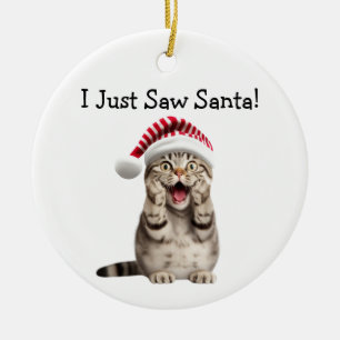 Naughty Kitty Christmas Fun Cat Ornament