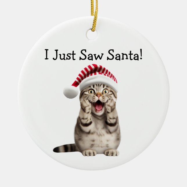 Naughty Kitty Christmas Fun Cat Ornament (Front)