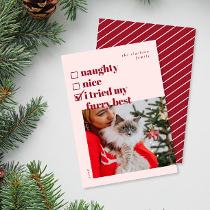 Naughty, Nice, Tried my Furry Best Holiday Card