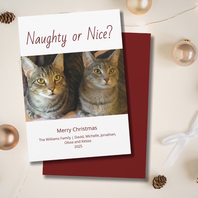 Naughty or Nice Cute Cats Photo Christmas  Holiday Card (Creator Uploaded)