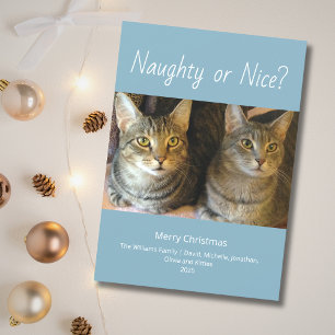 Naughty or Nice Cute Cats Photo Family Christmas  Holiday Card