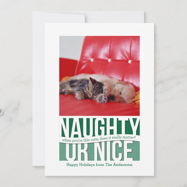 Naughty or Nice Funny Christmas Pet Card (Front)