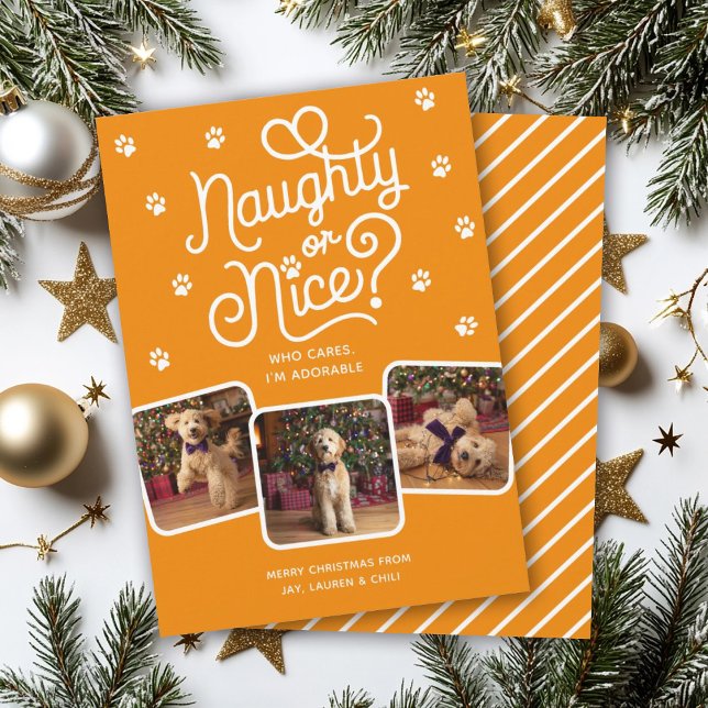 Naughty or Nice Funny Cute Pet Dog Cat 3 Photo  Holiday Card (Creator Uploaded)