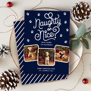 Naughty or Nice Funny Cute Pet Dog Cat 3 Photo Holiday Card