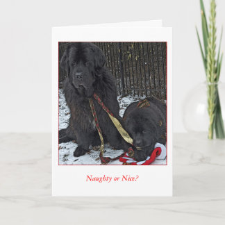 Naughty or Nice? Holiday Card