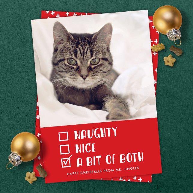 Naughty OR Nice OR Both Funny Pet Holiday Photo (Creator Uploaded)