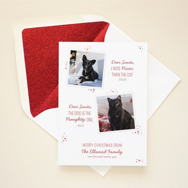 Naughty or Nice Pet Funny Christmas Card (Creator Uploaded)