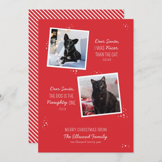 Naughty or Nice Pet Funny Christmas Card (Front/Back)