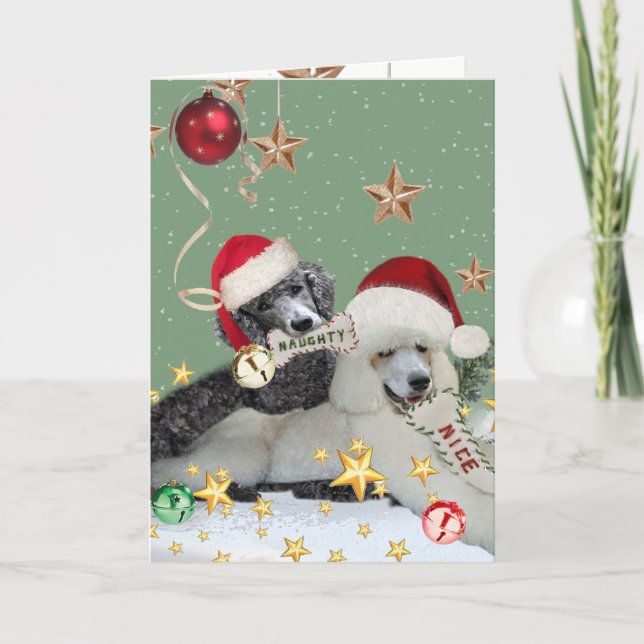 Naughty Or Nice Poodle Christmas Cards (Front)