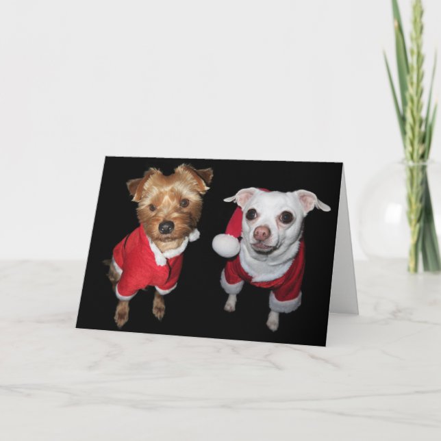 Naughty or Nice Pups Holiday Card (Front)