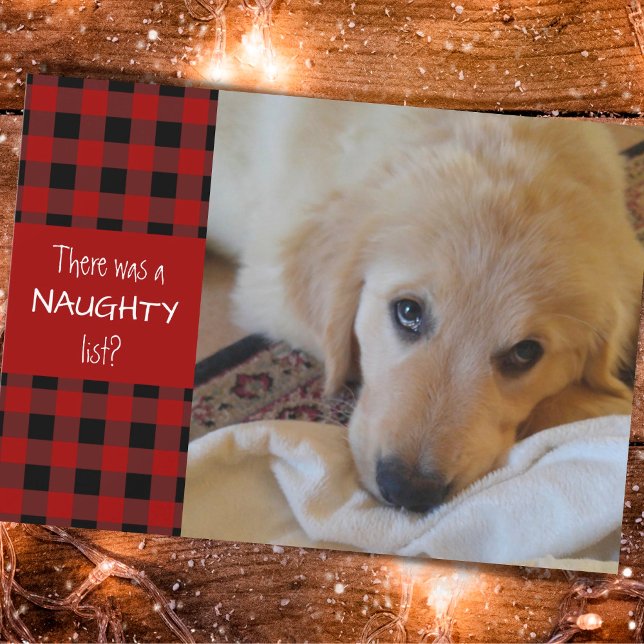 Naughty or Nice Red Plaid HAPPY HOLIDAYS Holiday Card (Creator Uploaded)