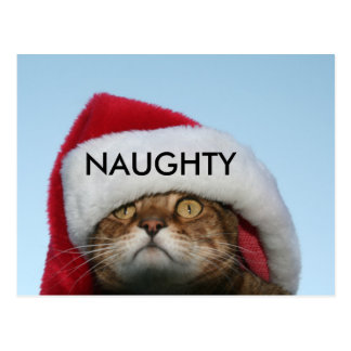 Naughty Postcards | Zazzle.com.au