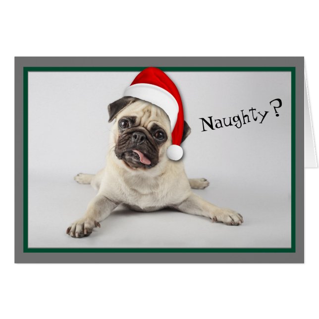 Naughty Santa Hat Pug Dog Christmas (Front Horizontal)