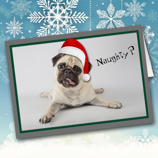 Naughty Santa Hat Pug Dog Christmas (Creator Uploaded)