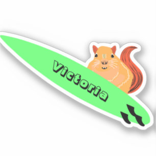 Naughty Squirrel #1639 Surfing