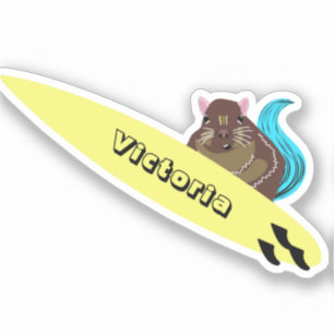 Naughty Squirrel #1733 Surfing