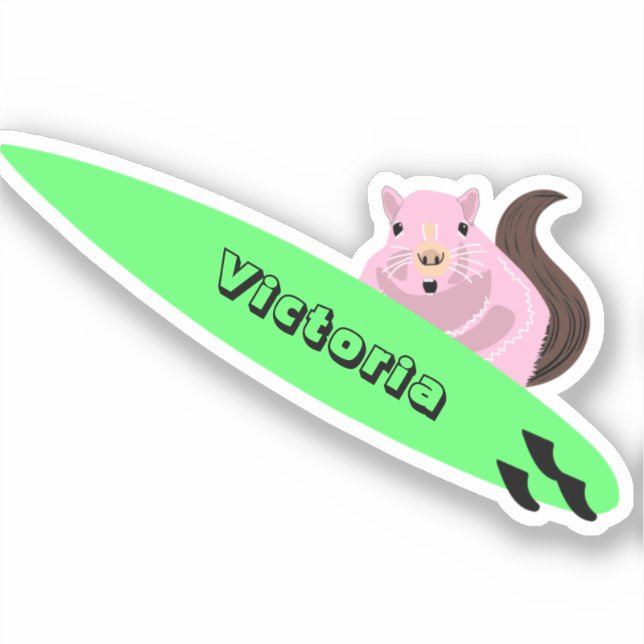 Naughty Squirrel #1993 Surfing (Front)