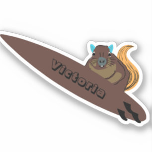 Naughty Squirrel #2302 Surfing