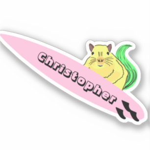 Naughty Squirrel #335 Surfing