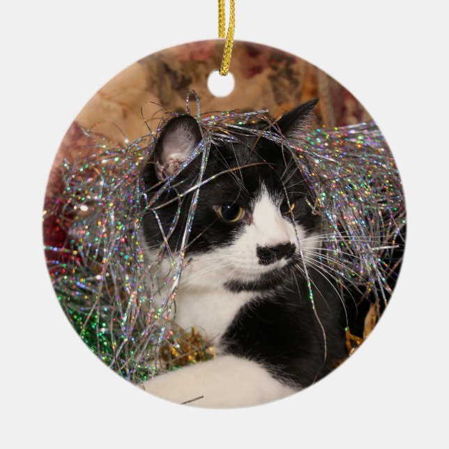 Naughty tuxedo kitty Christmas Ceramic Tree Decoration (Front)