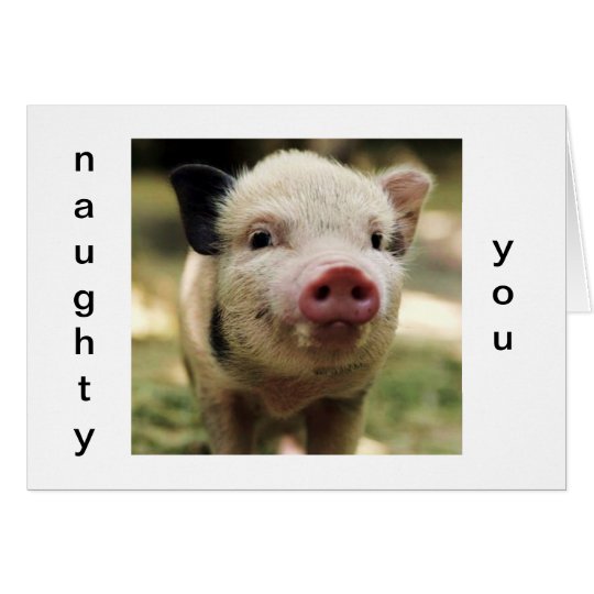 NAUGHTY YOU-LUCKY ME CHRISTMAS PIGGY CARD