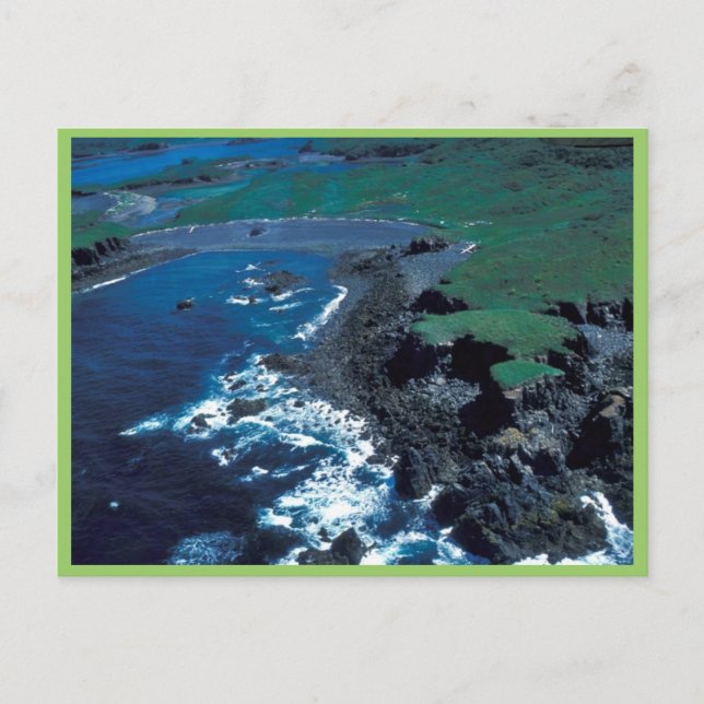 Naugolka Point Coastline, Kodiak Postcard (Front)