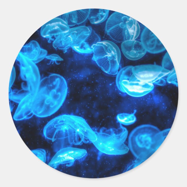 Nautical Blue Jellyfish Marine Life Classic Round Sticker (Front)