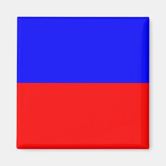 Nautical Flag Signal Letter E (Echo) Magnet