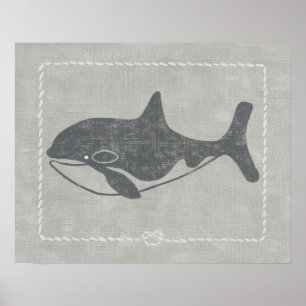 Nautical Killer Whale Poster