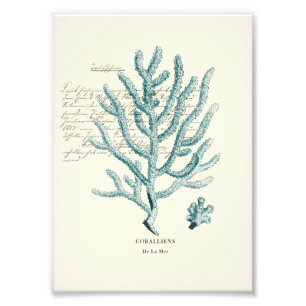 Nautical Mile Photo Print