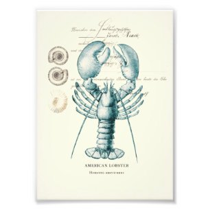 Nautical Mile Photo Print